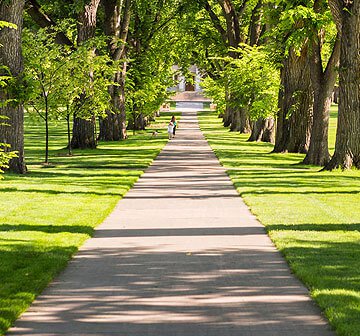 fort collins recreational activities